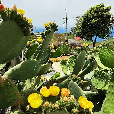 The L Lodge, A Curated Sea View House & Garden Ribeira Brava