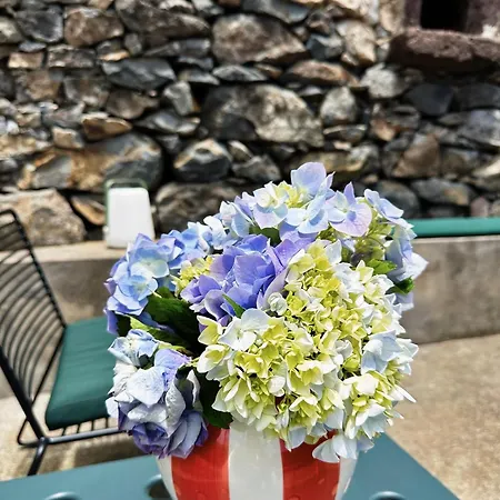 The L Lodge, A Curated Sea View House & Garden * Ribeira Brava