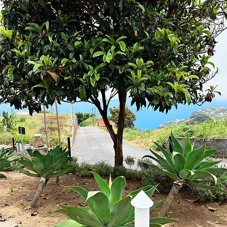 Villa The L Lodge, Ocean View Private Garden