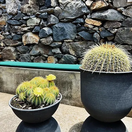 The L Lodge, Ocean View Garden Ribeira Brava