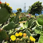 The L Lodge, Ocean View Private Garden 里贝拉布拉瓦