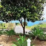 别墅 The L Lodge, Ocean View Private Garden