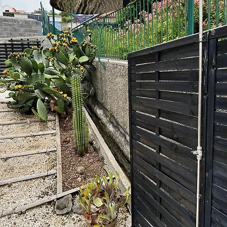 Βίλα The L Lodge, Ocean View Garden *