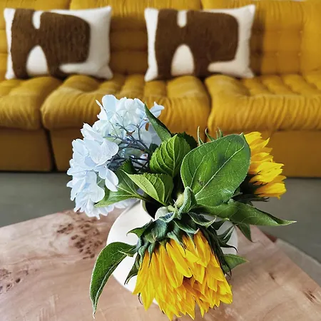 The L Lodge, Ocean View Garden *