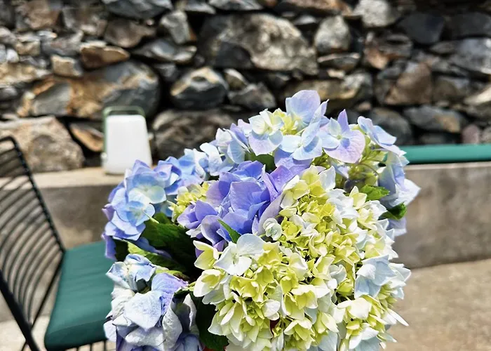 The L Lodge, Ocean View Private Garden * 里贝拉布拉瓦