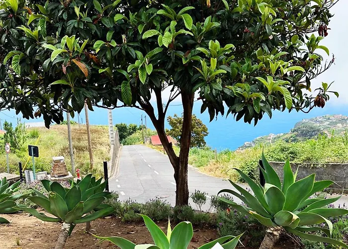 别墅 The L Lodge, Ocean View Private Garden