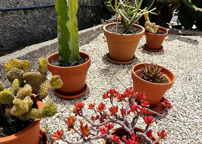 The L Lodge, Ocean View Private Garden 别墅 *