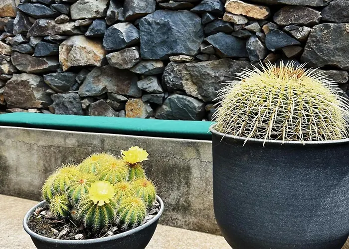 The L Lodge, Ocean View Private Garden 里贝拉布拉瓦